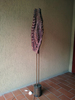 Lampade