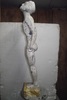 Metamorfosi notturna